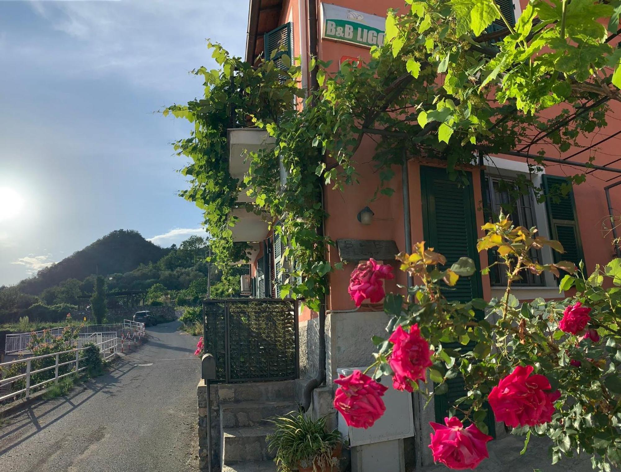 Bed and Breakfast Ligo Villanova d'Albenga Exteriér fotografie