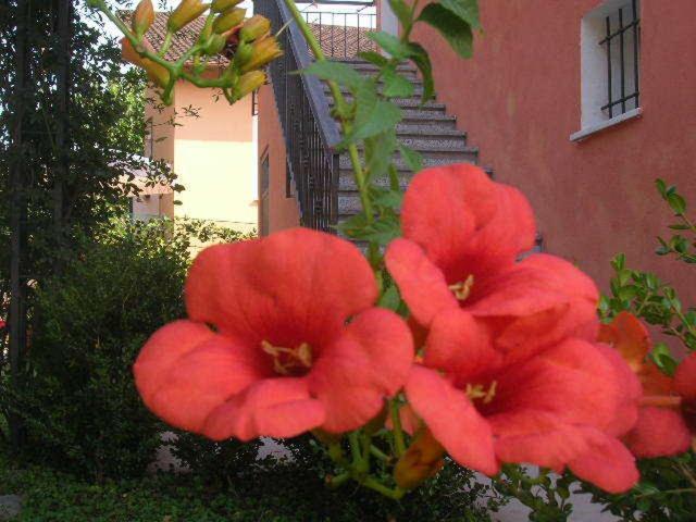 Bed and Breakfast Ligo Villanova d'Albenga Exteriér fotografie