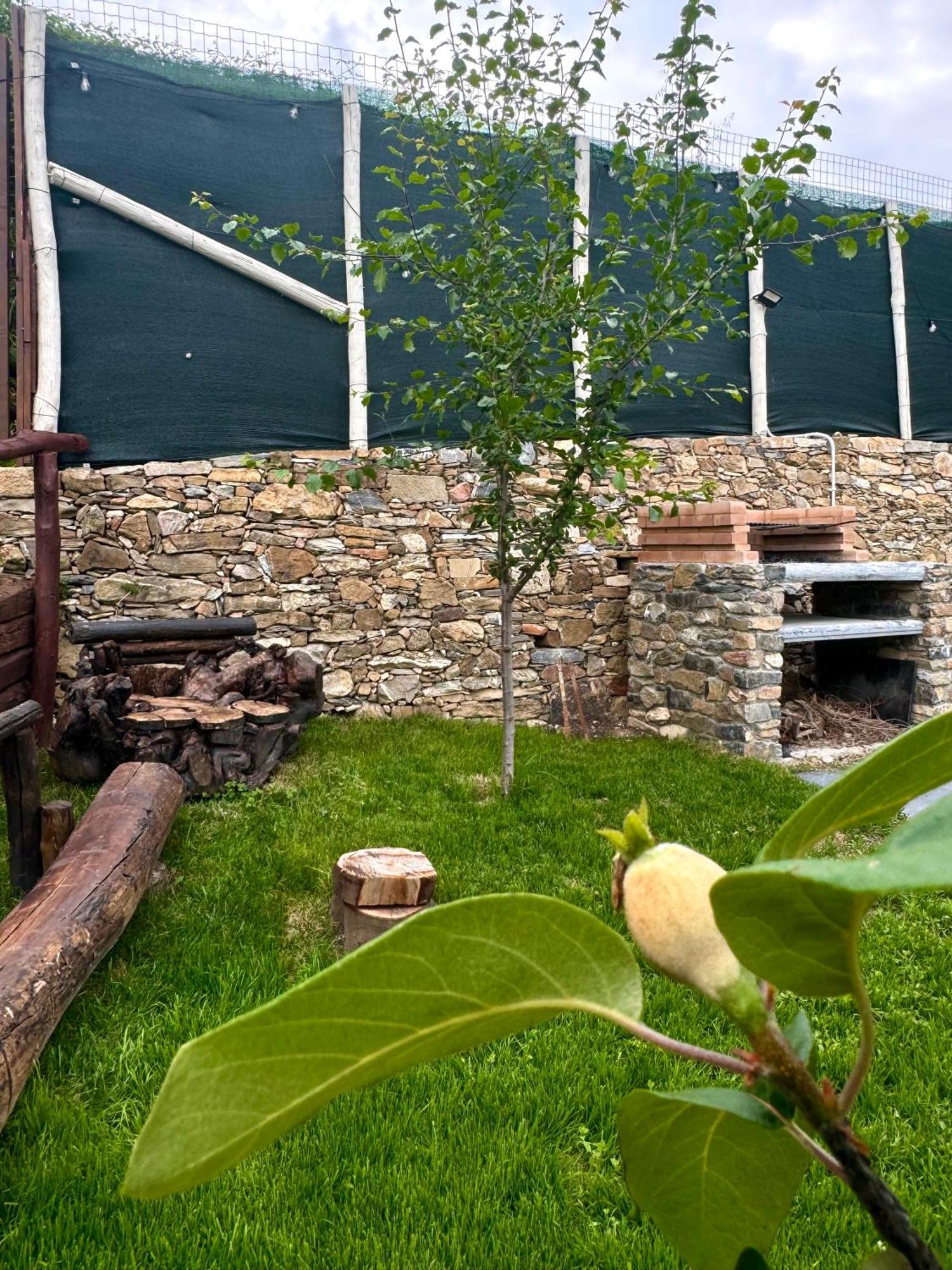 Bed and Breakfast Ligo Villanova d'Albenga Exteriér fotografie